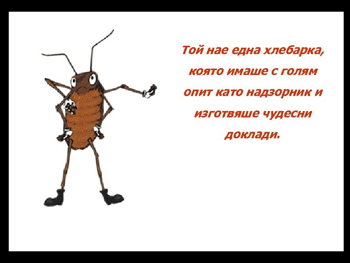 Той нае една хлебарка, която имаше с голям опит като надзорник и изготвяше чудесни