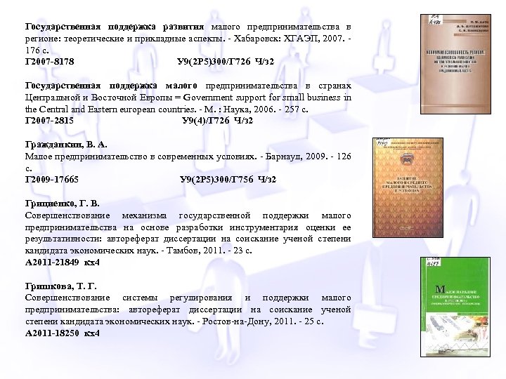 Государственная поддержка развития малого предпринимательства в регионе: теоретические и прикладные аспекты. - Хабаровск: ХГАЭП,