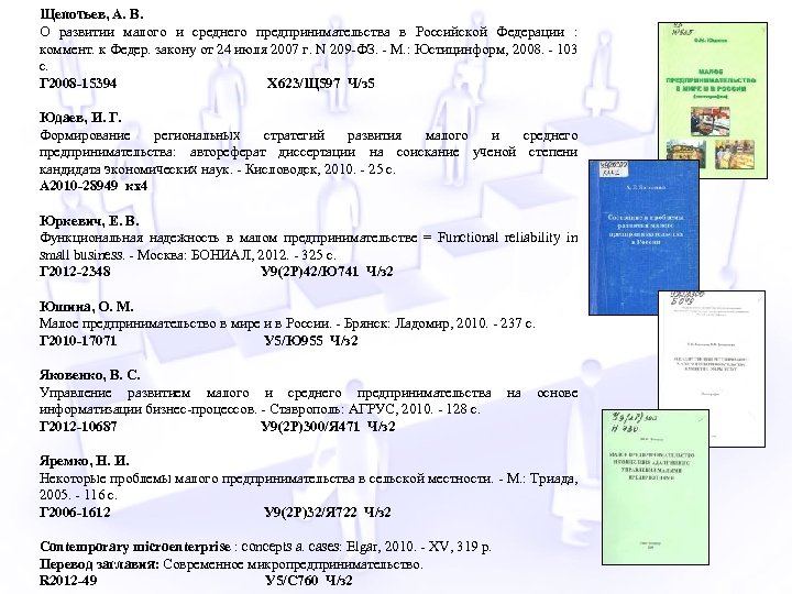 Щепотьев, А. В. О развитии малого и среднего предпринимательства в Российской Федерации : коммент.