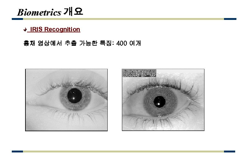 Biometrics 개요 IRIS Recognition 홍채 영상에서 추출 가능한 특징: 400 여개 