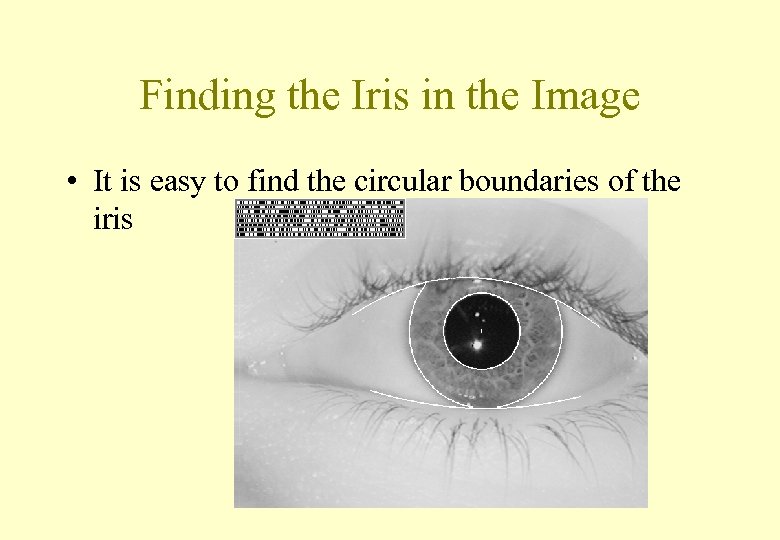 Finding the Iris in the Image • It is easy to find the circular