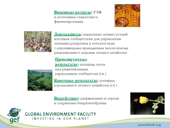 Вводимые ресурсы: ГЭФ и источники совместного финансирования Деятельность: выделение лесных угодий местным сообществам для