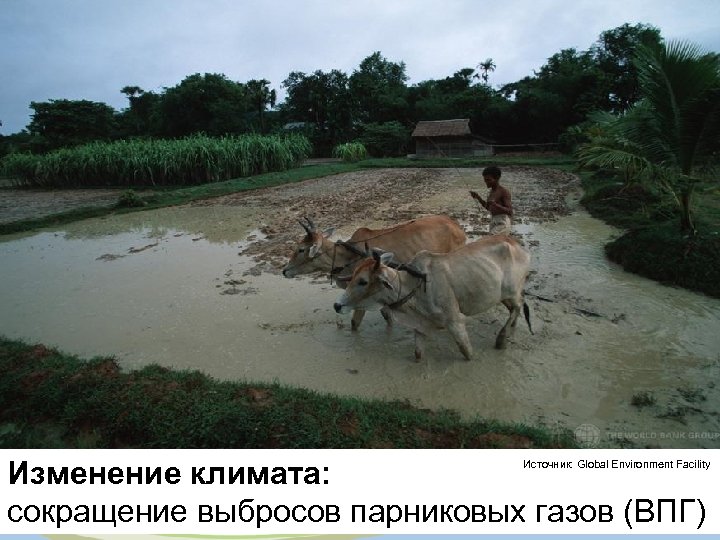 Изменение климата: сокращение выбросов парниковых газов (ВПГ) Источник: Global Environment Facility 