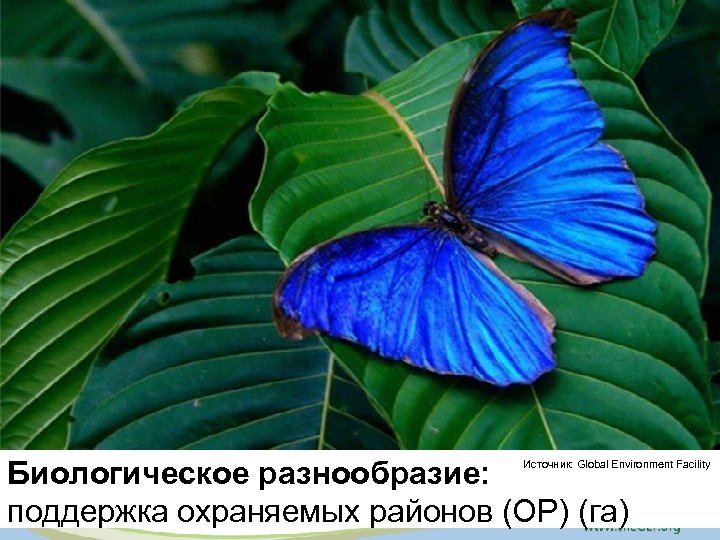 Биологическое разнообразие: поддержка охраняемых районов (ОР) (га) Источник: Global Environment Facility 