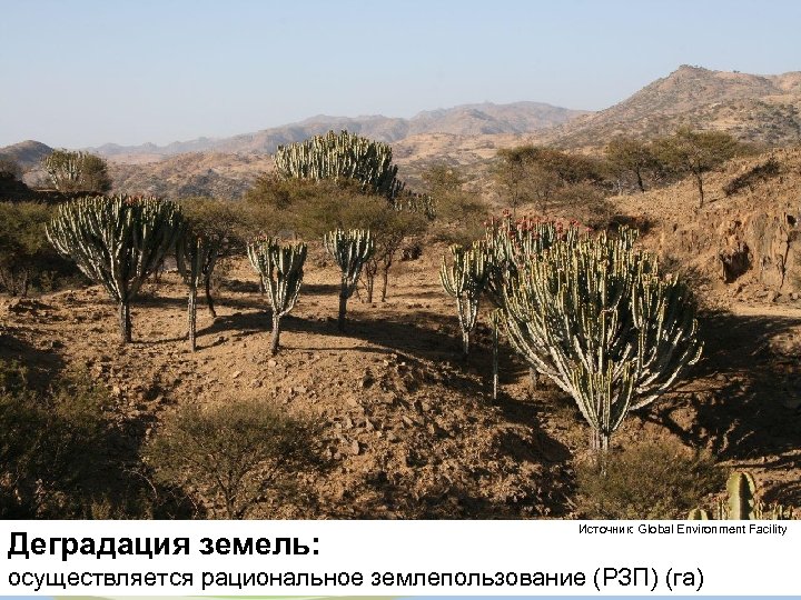 Деградация земель: Источник: Global Environment Facility осуществляется рациональное землепользование (РЗП) (га) 