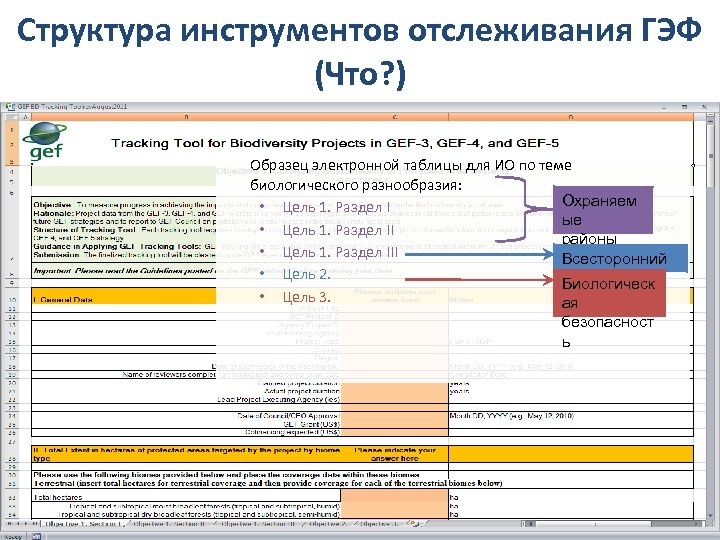 Структура инструментов отслеживания ГЭФ (Что? ) Образец электронной таблицы для ИО по теме биологического