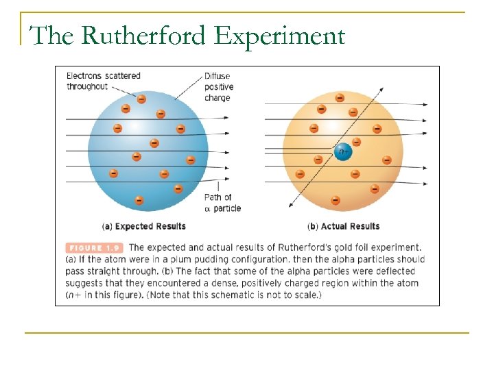 The Rutherford Experiment 
