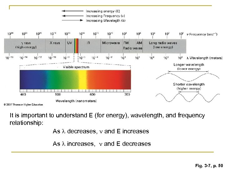 It is important to understand E (for energy), wavelength, and frequency relationship: As l