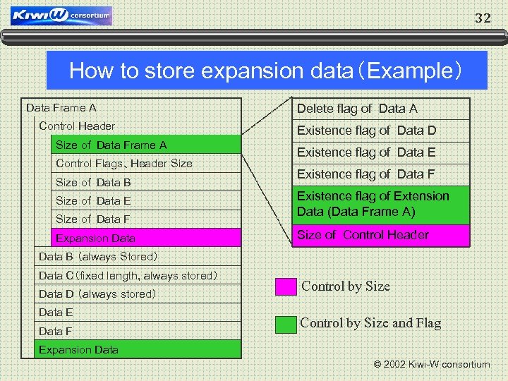32 How to store expansion data（Example） Data Frame A Control Header Size of Data
