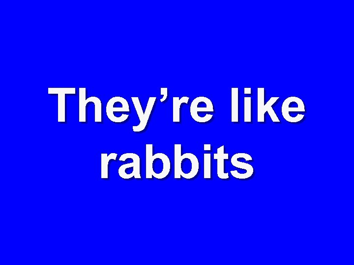 They’re like rabbits 