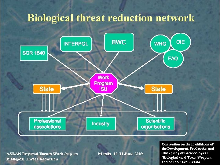Biological threat reduction network BWC INTERPOL SCR 1540 State Professional associations ASEAN Regional Forum