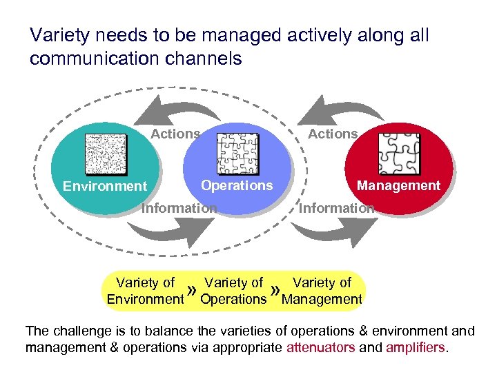 Variety needs to be managed actively along all communication channels Actions Environment Operations Information