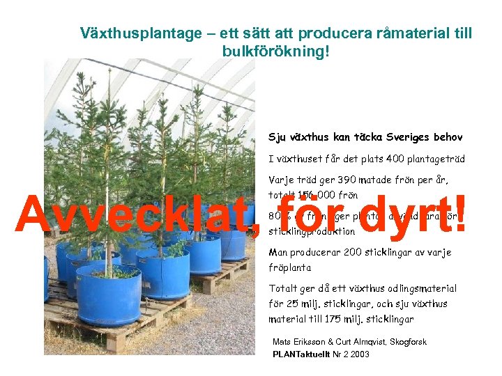 Växthusplantage – ett sätt att producera råmaterial till bulkförökning! Sju växthus kan täcka Sveriges