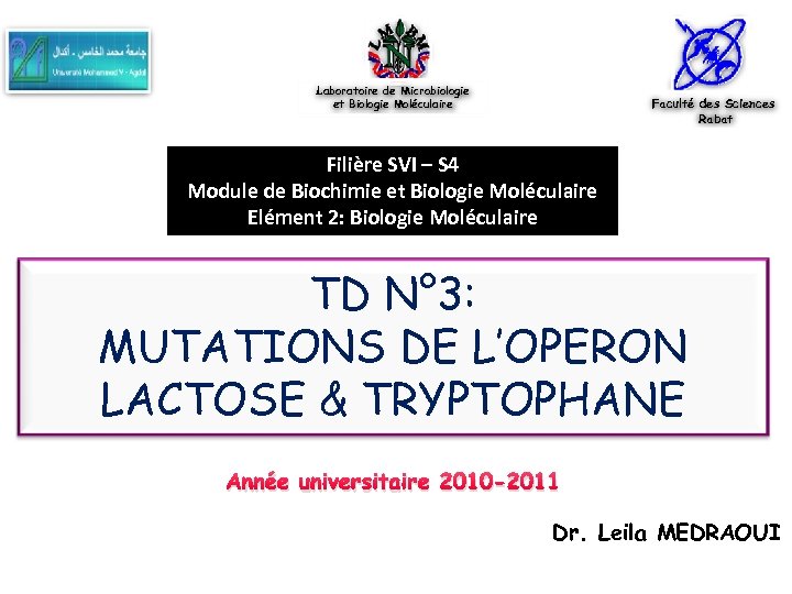 Laboratoire de Microbiologie et Biologie Moléculaire Faculté des Sciences Rabat Filière SVI – S