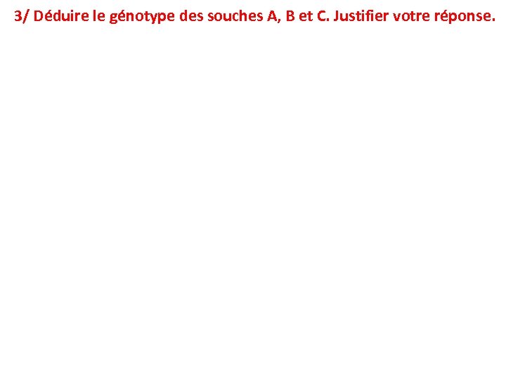 3/ Déduire le génotype des souches A, B et C. Justifier votre réponse. 