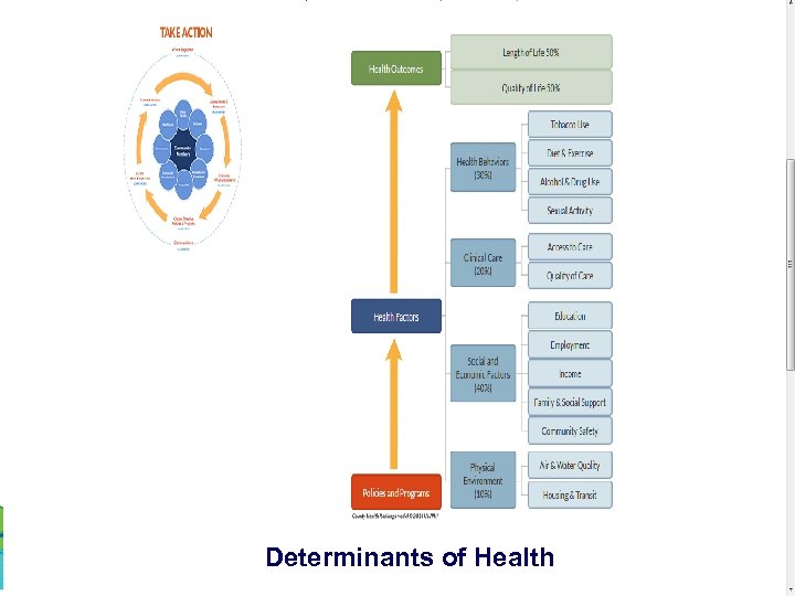 Determinants of Health 