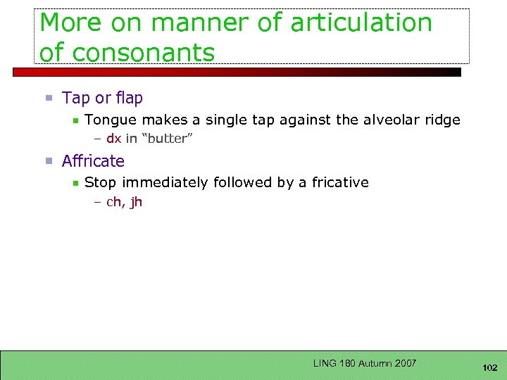 More on manner of articulation of consonants Tap or flap Tongue makes a single