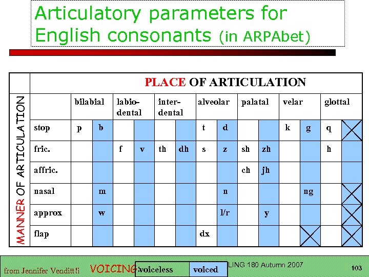 Articulatory parameters for English consonants (in ARPAbet) MANNER OF ARTICULATION PLACE OF ARTICULATION bilabial