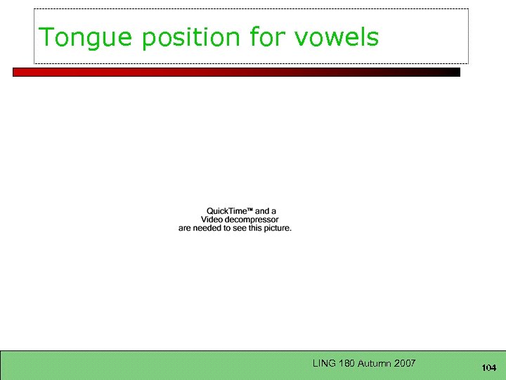 Tongue position for vowels LING 180 Autumn 2007 104 