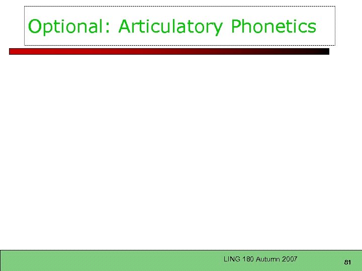 Optional: Articulatory Phonetics LING 180 Autumn 2007 81 