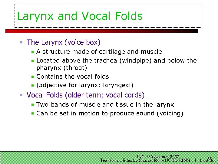 Larynx and Vocal Folds The Larynx (voice box) A structure made of cartilage and