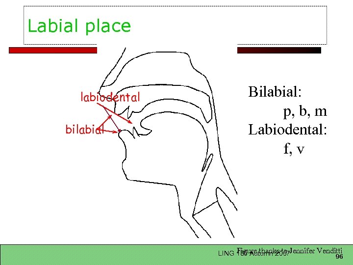 Labial place labiodental bilabial Bilabial: p, b, m Labiodental: f, v Figure thanks to