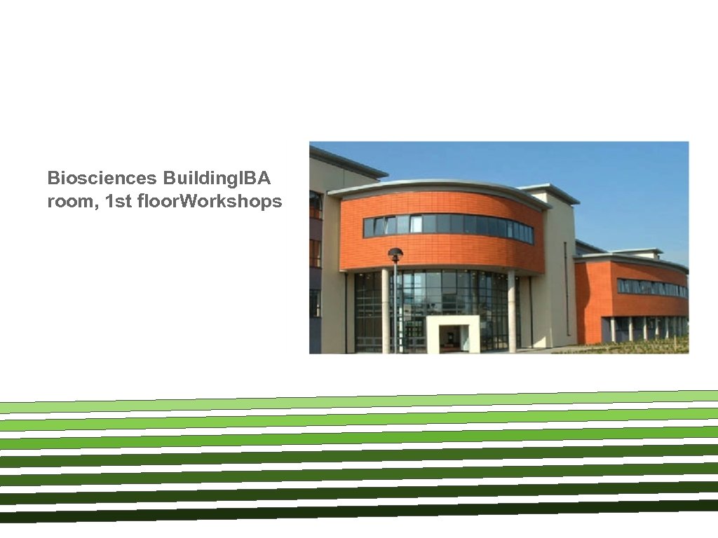 Biosciences Building. IBA room, 1 st floor. Workshops 