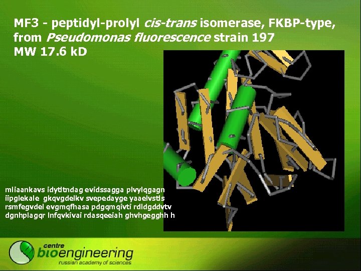 MF 3 - peptidyl-prolyl cis-trans isomerase, FKBP-type, from Pseudomonas fluorescence strain 197 MW 17.