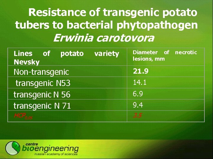 Resistance of transgenic potato tubers to bacterial phytopathogen Erwinia carotovora Lines of Nevsky potato