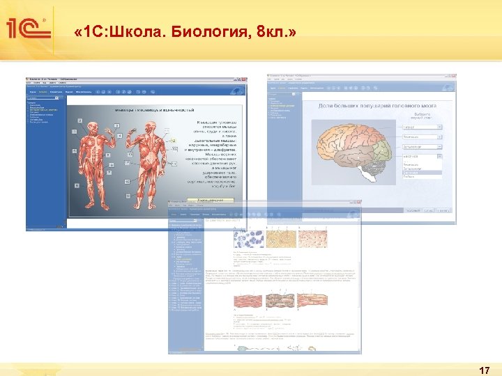  « 1 С: Школа. Биология, 8 кл. » 17 