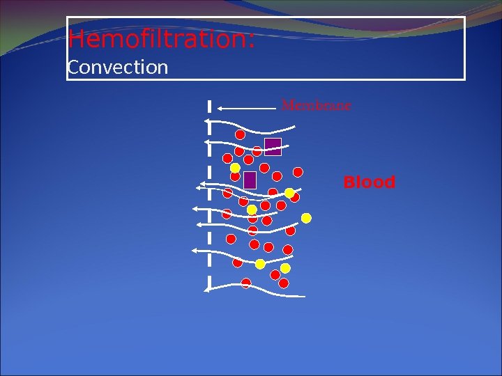 Hemofiltration: Convection Membrane Blood 