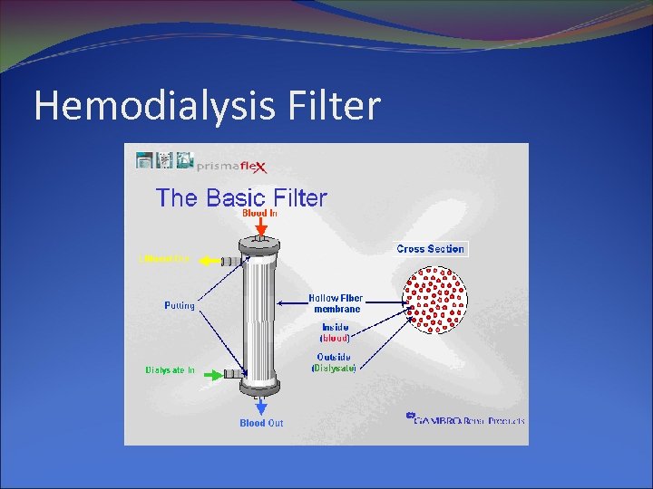 Hemodialysis Filter 