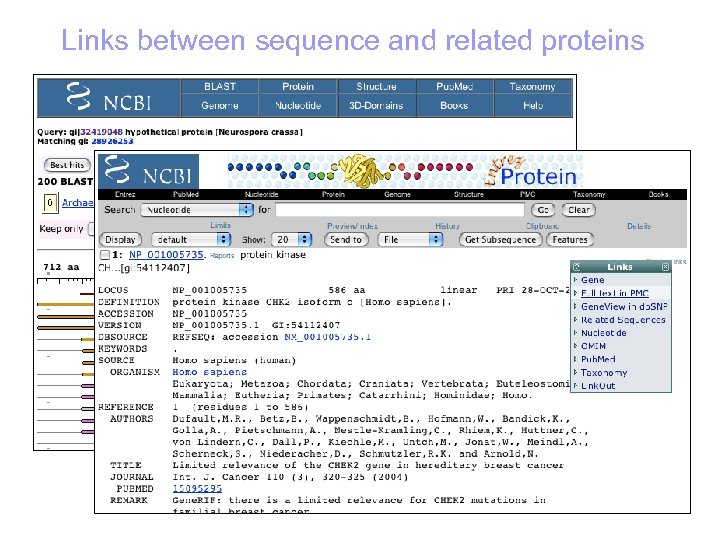 Links between sequence and related proteins 
