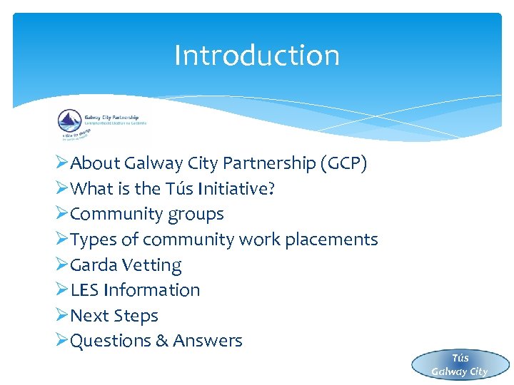 Introduction ØAbout Galway City Partnership (GCP) ØWhat is the Tús Initiative? ØCommunity groups ØTypes
