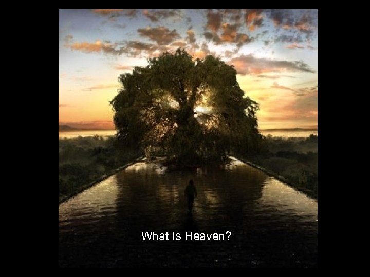What Is Heaven? 