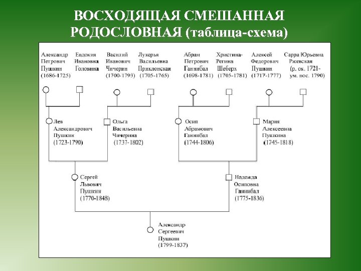 Как узнать свою родословную