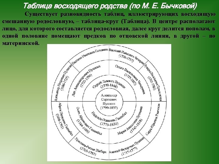 Таблица восходящего родства (по М. Е. Бычковой) Существует разновидность таблиц, иллюстрирующих восходящую смешанную родословную,