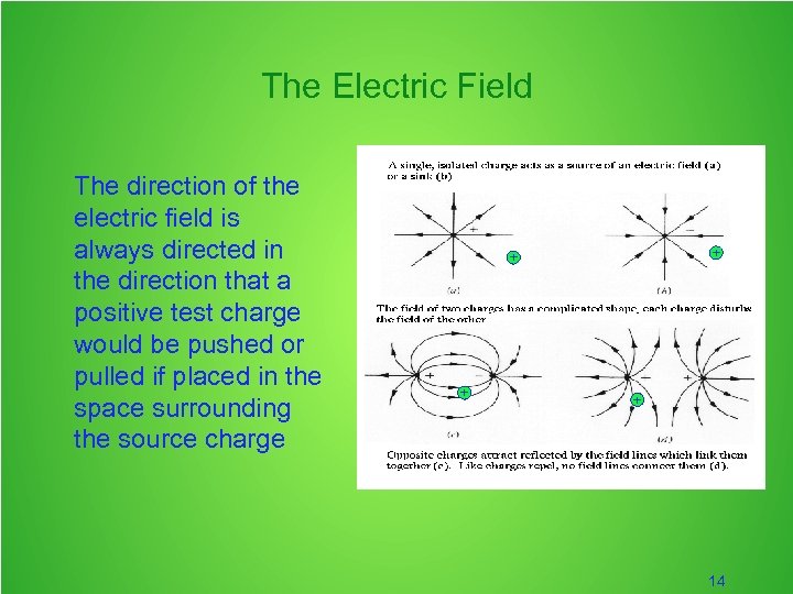 The Electric Field The direction of the electric field is always directed in the