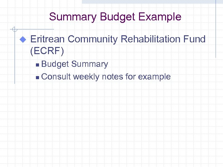 Summary Budget Example u Eritrean Community Rehabilitation Fund (ECRF) Budget Summary n Consult weekly
