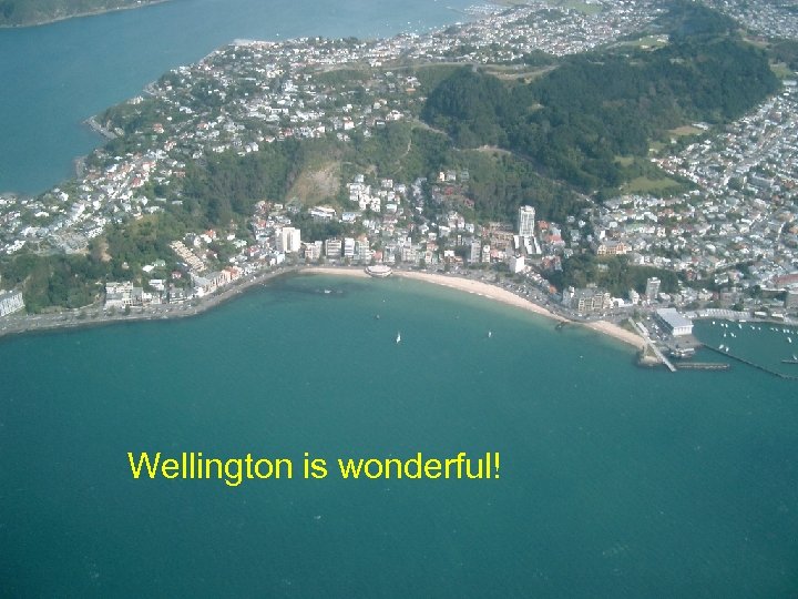 Wellington is wonderful! 