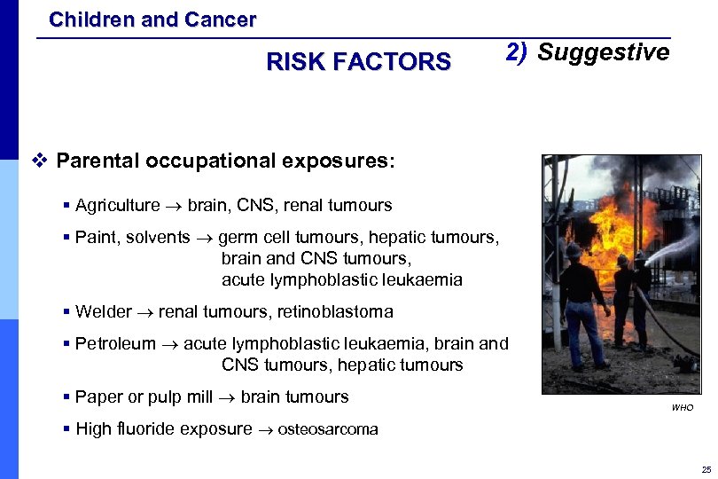 Children and Cancer RISK FACTORS 2) Suggestive v Parental occupational exposures: § Agriculture brain,