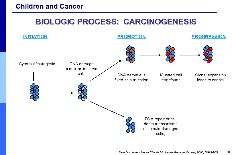 Children and Cancer BIOLOGIC PROCESS: CARCINOGENESIS INITIATION Cytotoxic/mutagenic PROMOTION DNA damage induction in some