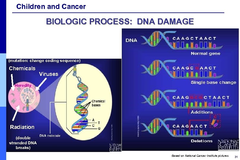 Children and Cancer BIOLOGIC PROCESS: DNA DAMAGE (mutation: change coding sequence) Chemicals Viruses Heredity