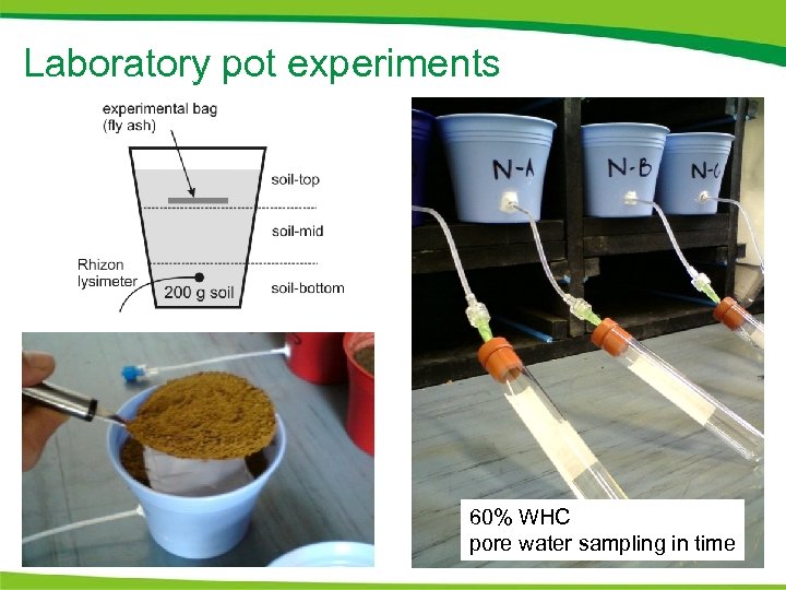 Laboratory pot experiments 60% WHC pore water sampling in time 