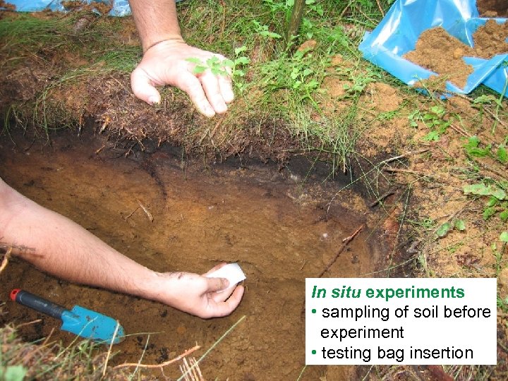 In situ experiments • sampling of soil before experiment • testing bag insertion 