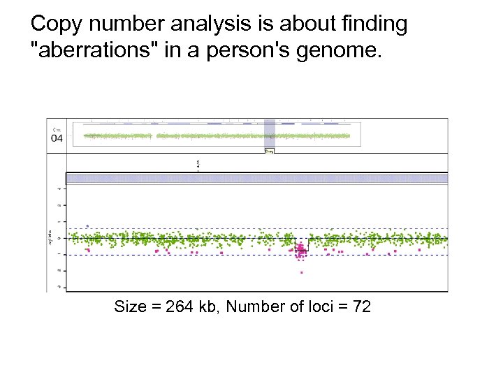 Copy number analysis is about finding "aberrations" in a person's genome. Size = 264