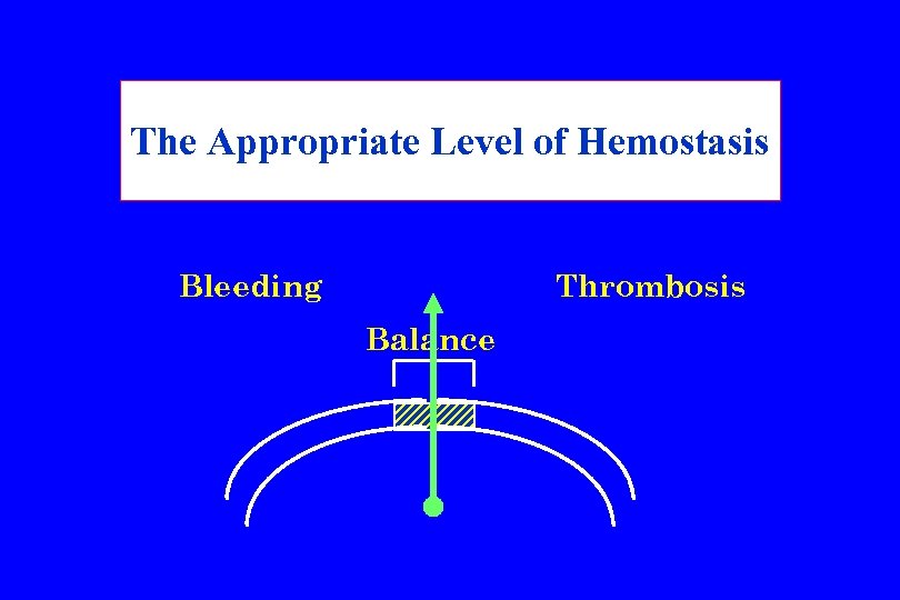 The Appropriate Level of Hemostasis Bleeding Thrombosis Balance 