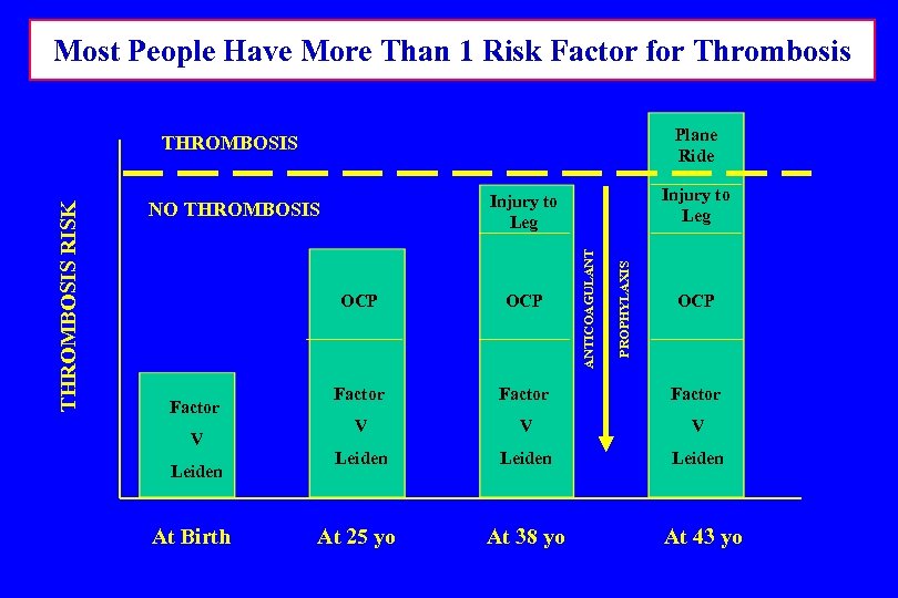 Most People Have More Than 1 Risk Factor for Thrombosis Plane Ride Injury to