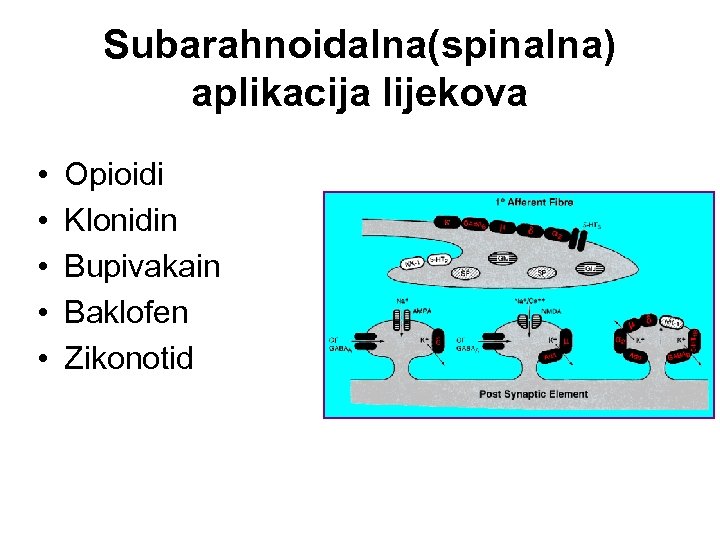 Subarahnoidalna(spinalna) aplikacija lijekova • • • Opioidi Klonidin Bupivakain Baklofen Zikonotid 