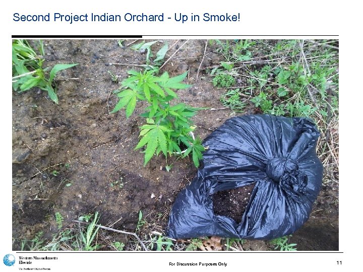 Second Project Indian Orchard - Up in Smoke! For Discussion Purposes Only 11 
